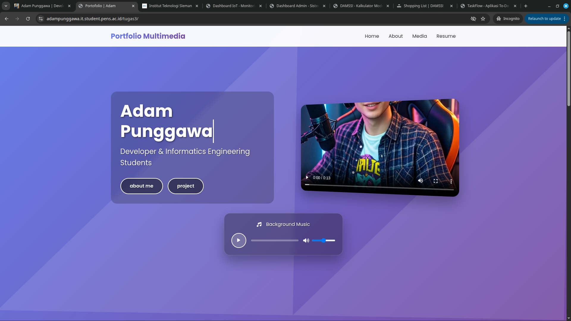 Portfolio Multimedia